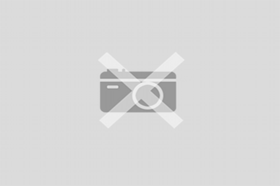 Dpto. 4